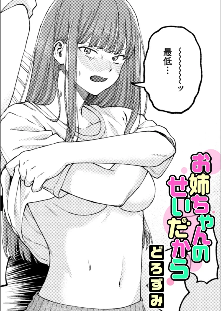 お姉ちゃんのせいだから（単話）