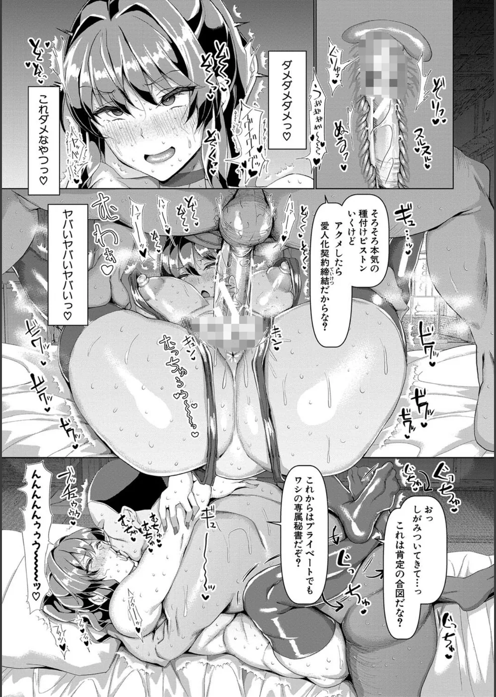 交尾のマナー その基本と原則 サンプル30