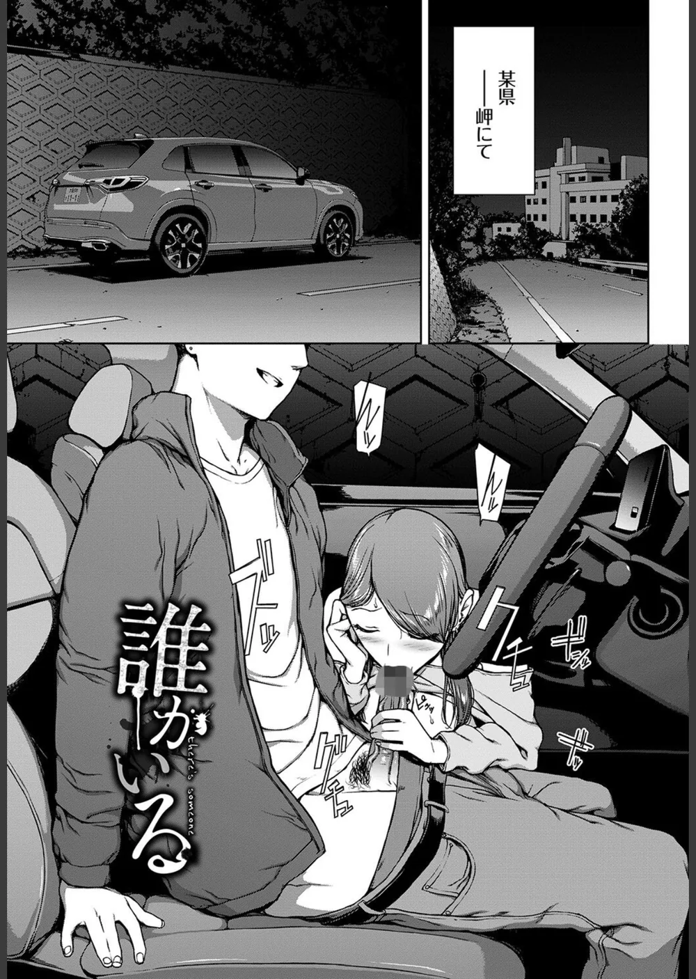閲覧シリーズ サンプル33