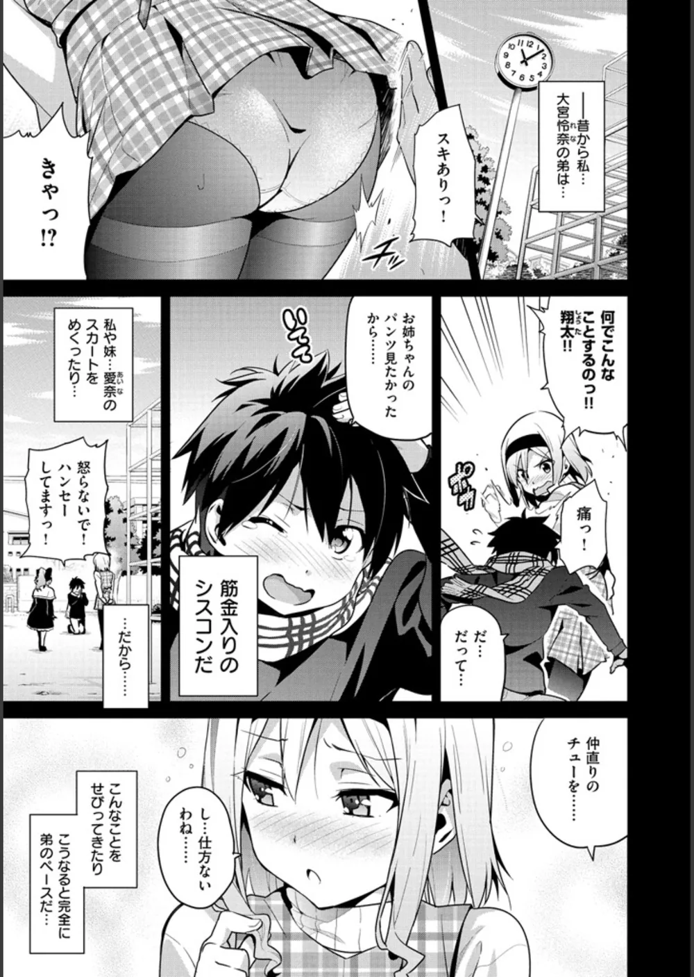 シスターブリーダー サンプル5