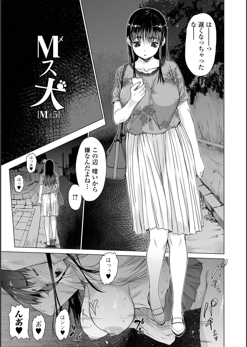 メスシコ サンプル7